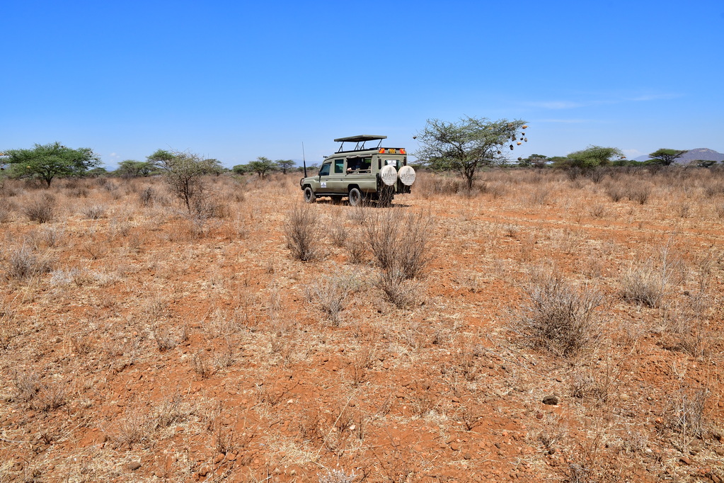 Buffalo Springs Nat. Reserve